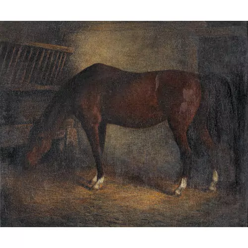 Pferd im Stall