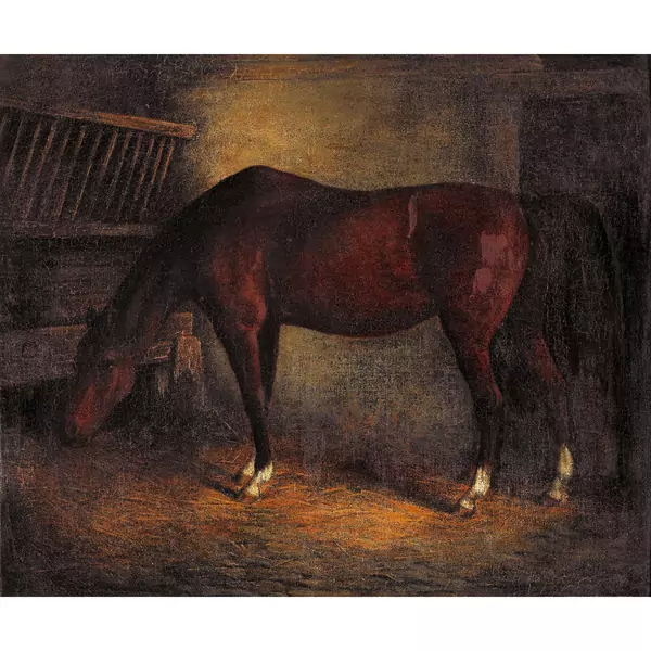 Pferd im Stall
