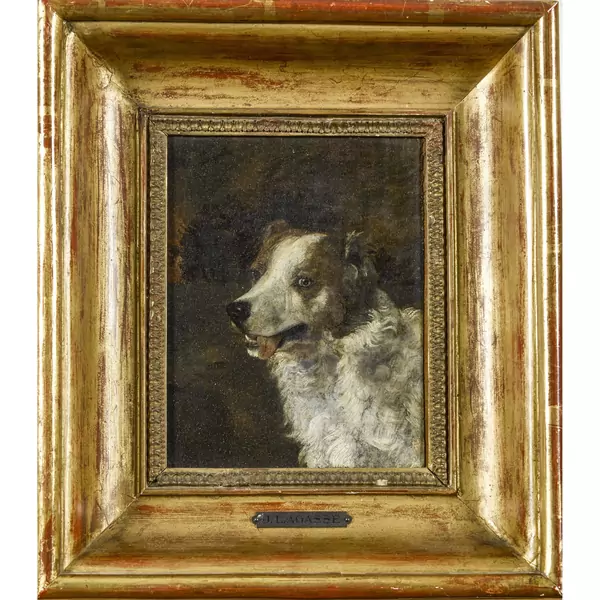 Tête de chien