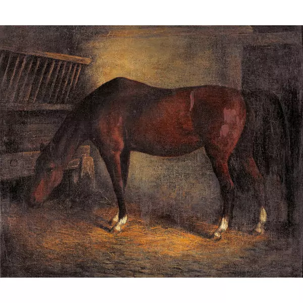 Pferd im Stall