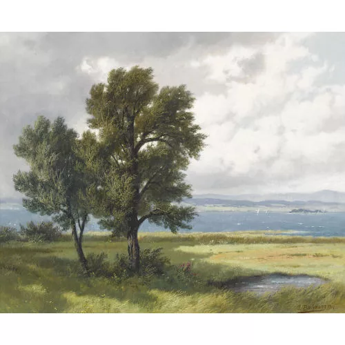Jakob Edwin Bachmann — Zürichsee bei Sturm.
