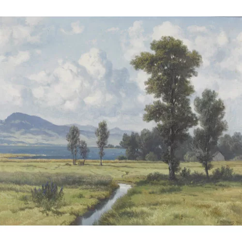 Jakob Edwin Bachmann — Seeuferpartie am oberen Zürichsee mit Riedland.