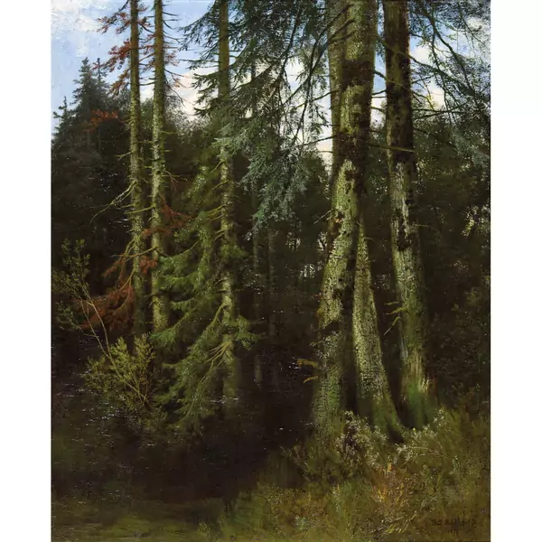 Im Wald