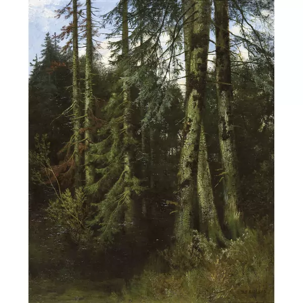 Im Wald