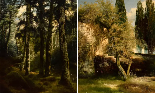 Paar Waldlandschaften