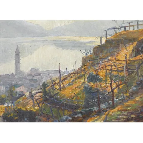 Jakob Wagner — Weinberge oberhalb eines Tessiner Sees.