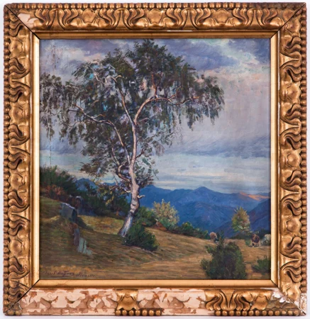 Paysage de montagne