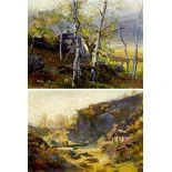 Tessiner Landschaften