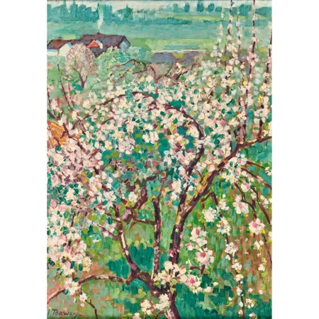 Blühender Obstbaum