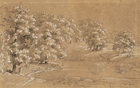 Paysage