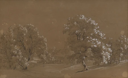Paysage avec des arbres et une ferme