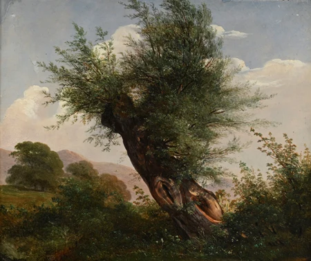 Paysage au saule