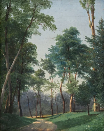 Chemin arboré