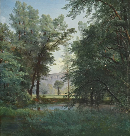 Paysage de rivière arboré