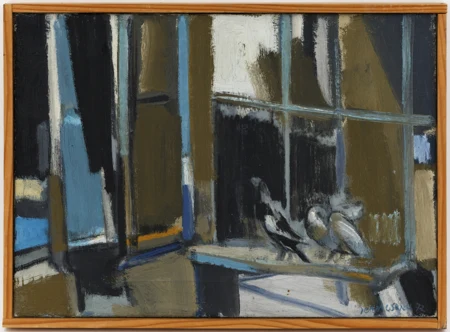 Pigeons sur le bord de la fenêtre