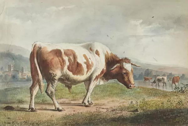 Jean-Daniel Huber (1754-1845) — Genève Enchères
