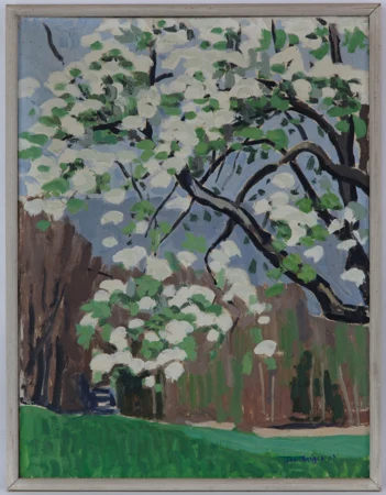 Poirier fleuri