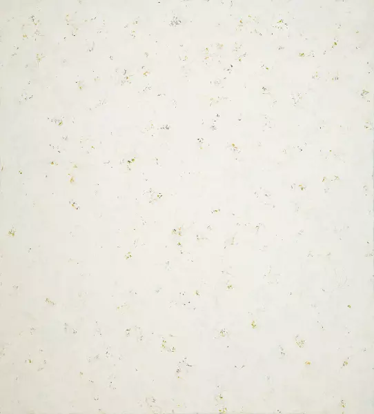 Nr. 16/2010