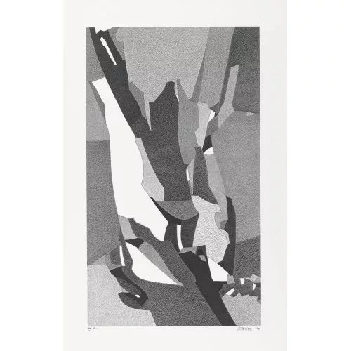 Jean Pierre LERMITE — L′arbre foudroyé.