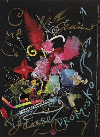 Voliere dromesco