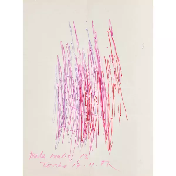 "Meta matic 13"