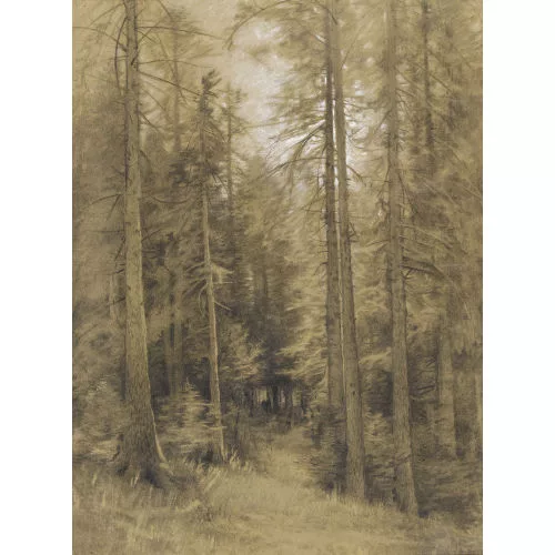Jeanmaire Edouard — Waldlichtung.