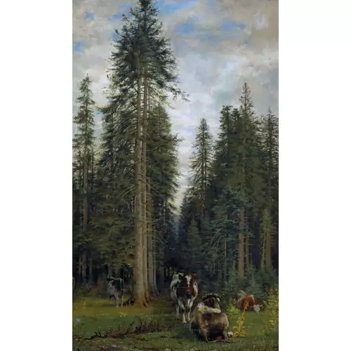 "Un temps couvert dans une forêt de sapins"