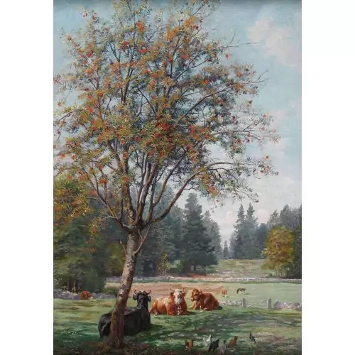 "Le sorbier devant mon petit atelier à la Joux-Perret"
