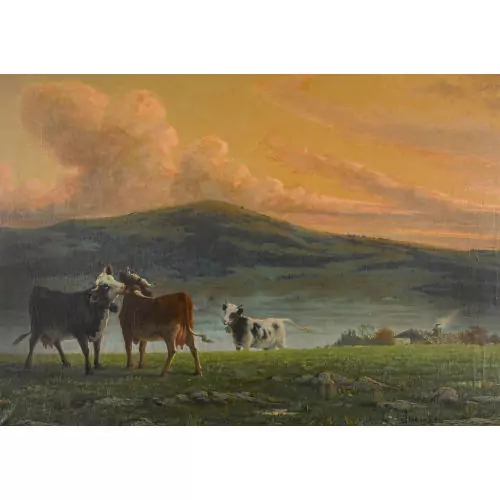 "Soleil couchant au Jura Neuchâtelois"