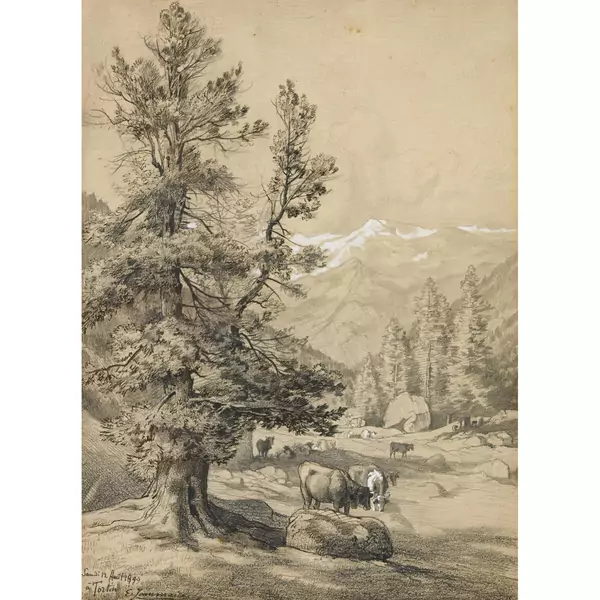 Berglandschaft mit weidenden Kühen