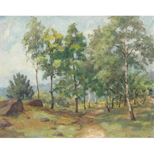 Johann Albert Wenner — Waldweg durch Birkenhain.