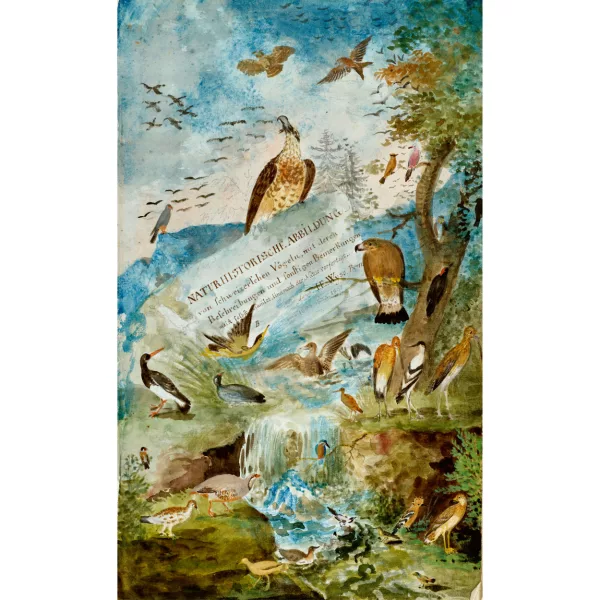 Johann Emanuel Wyss — "Naturhistorische Abbildung von Schweizerschen Vögeln, mit deren Beschreibungen und sonstigen Bemerkungen meist selbst gesammlet. Und nach der Natur verfertigt...".