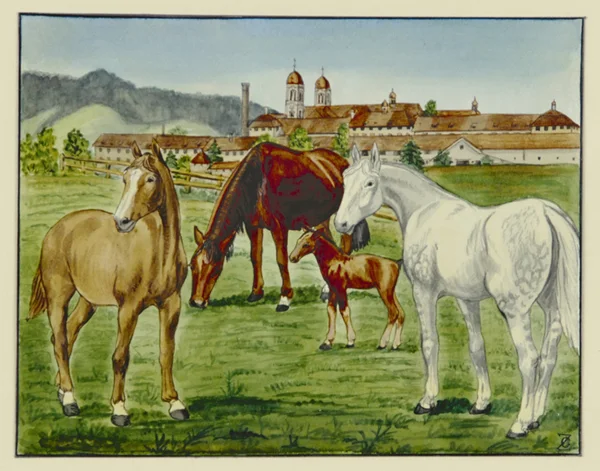 Johann Georg Zähndler — Gestüt Kloster Einsiedeln