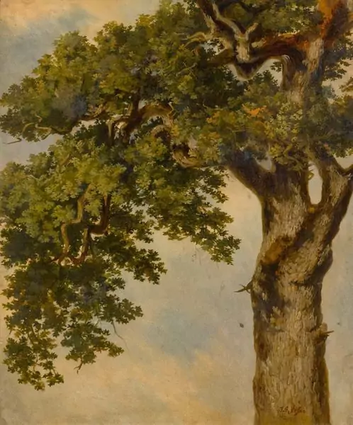 JOHANN GOTTFRIED STEFFAN — Baumstudie. — Koller Auktionen
