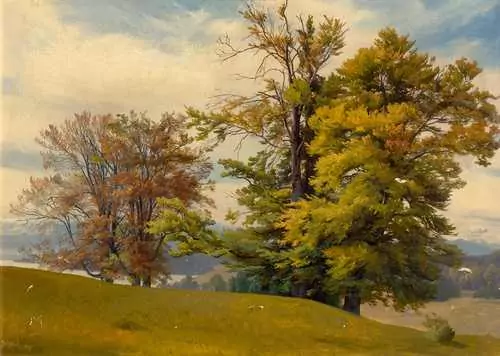 JOHANN GOTTFRIED STEFFAN — Tree study near Tutzing. 1849. — Koller Auktionen