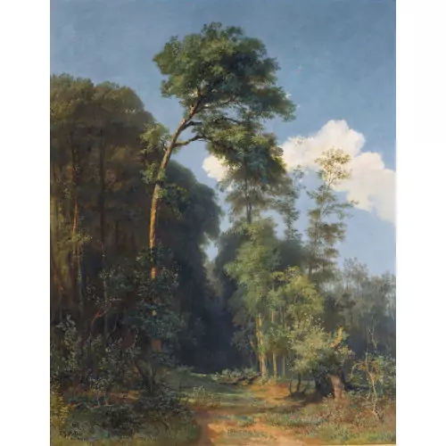 Sommerlicher Waldweg