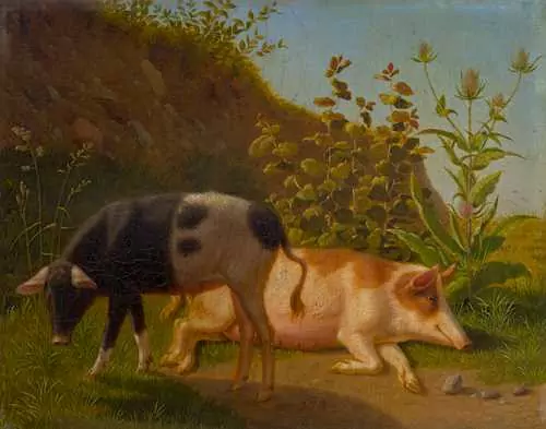 JOHANN JAKOB BIEDERMANN — Two pigs. — Koller Auktionen