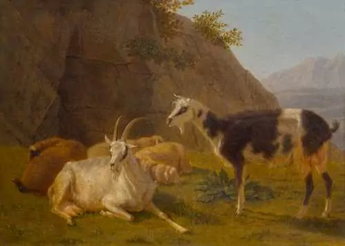 JOHANN JAKOB BIEDERMANN — Pair of works: Sheep and Goats. — Koller Auktionen