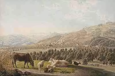 Johann Jakob Biedermann — Dezember 2014 (A135) - Auktionsstart: 12.12.2014, 10:00 — Schuler Auktionen