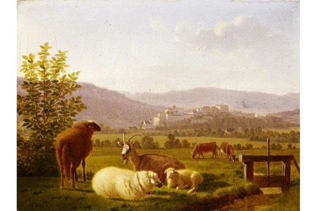 Weide vor der Festung Aarburg
