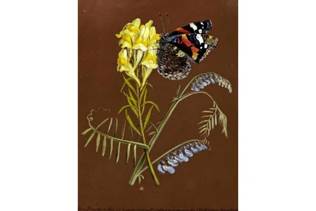 Schmetterling auf Blütenzweig