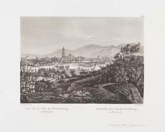 Johann Ludwig Bleuler — Mal. Reise von Freiburg.