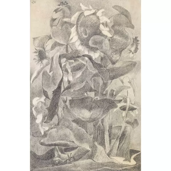 Sonnenblumen und Weinbergschnecke