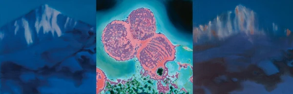 Josef Felix Müller — Triptychon. Berge-Virus, 2002