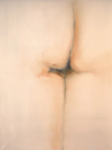 Josef Felix Müller — Haut / Hinten, 1994