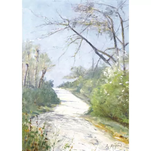 Le chemin au printemps