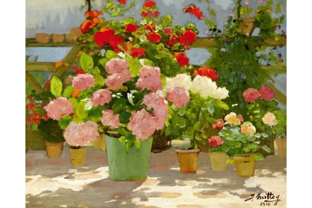 Les Hortensias sur la Terrasse Ensoleillée