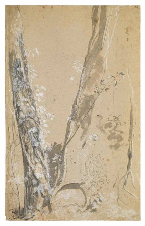 Joseph Werner — Baumstudien — Galerie Kornfeld