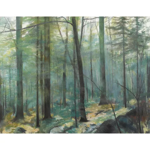 Judith Schmied-L'Eplattenier — Waldinneres.