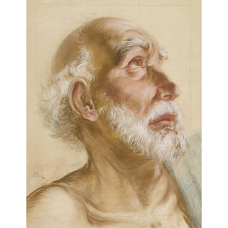 "Le vieillard"